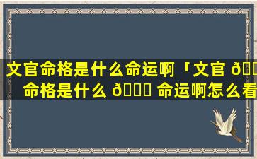 文官命格是什么命运啊「文官 🐺 命格是什么 🐎 命运啊怎么看」